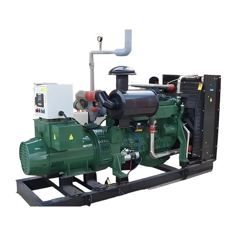 1000kW बायोगैस जनरेटर